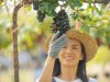 10 Khasiat Kesehatan dari Konsumsi Anggur Hitam