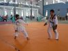 284 Atlet Berlaga di Kejuaraan Taekwondo Bintan Open Tournament se-Kepri
