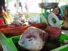 Distributor Jamin Stok Daging Sapi dan Ayam di Bintan untuk Nataru 2024 Cukup