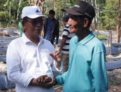 Dukung dan Dorong Pengembangan Pertanian di Pulau Kundur, Rasno: Potensinya Sangat Besar