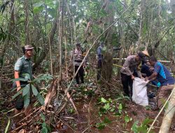 Hilang 2 Bulan Lebih, Lansia di Karimun Ditemukan Tinggal Kerangka di Hutan