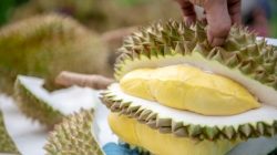 Ilustrasi - dibalik aromanya yang khas, durian menghadirkan sensasi rasa yang lezat serta berlimpah manfaat bagi kesehatan tubuh.
