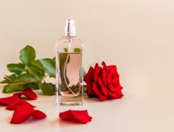 5 Manfaat Kesehatan dari Minyak Mawar dengan Aromanya yang Khas
