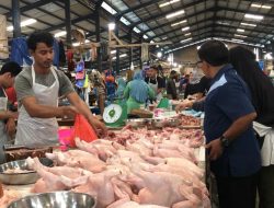 Nataru – Harga Daging Ayam Potong di Tanjungpinang Naik Tipis