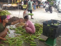 Jelang Pergantian Tahun, Permintaan Jagung Naik di Tanjungpinang
