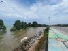 Bangkai Dugong Kembali Muncul di Pesisir Coastal Area Karimun