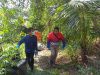 Pemuda di Karimun Ditemukan Tewas di Pondok Kebun