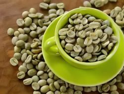 Manfaat Green Coffee untuk Menurunkan Berat Badan