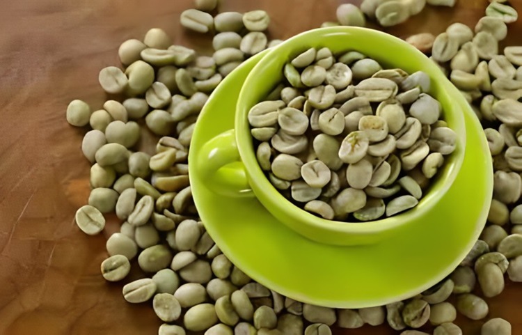 Ilustrasi - manfaat green coffee dapat menurunkan berat badan, terutama pada individu yang mengalami obesitas.