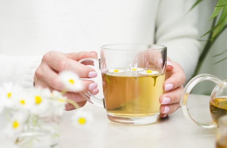 Ilustrasi - bunga Chamomile sering dijadikan bahan untuk membuat teh dengan aroma harum yang memikat.