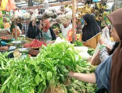 Harga Sayuran di Pasar Tanjungpinang Meroket hingga Rp28 Ribu