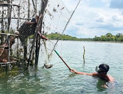 Imlek Bawa Berkah, Nelayan Belakang Padang Batam Raup Untung Jualan Ikan Dingkis