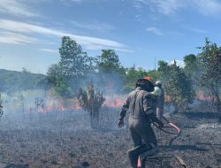 Hutan Lindung Tanjung Uban Terbakar