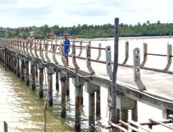 Rusak Parah, Pemerintah Diminta Perbaiki Pelantar Panjang di Desa Teluk Sebong Bintan