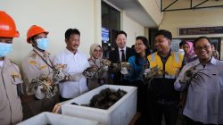 Kepala BP Batam, Muhammad Rudi saat melepas ekspor perdana kepiting bakau ke Cina. (Foto: Dok BP Batam)