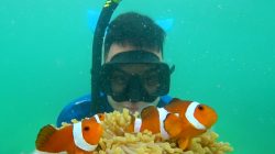 Pengunjung saat bermain dengan ikan Nemo. (Foto: Dok Ulasan)