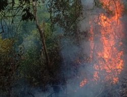 Kerap Terjadi Kebakaran di Karimun, Pemerintah dan Kepolisian Imbau Masyarakat Tak Bakar Sembarangan