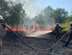 Kebakaran Lahan Kembali Terjadi di Tanjung Uban, 10,4 Hektare Lahan Dilalap Api