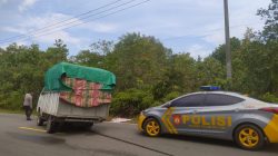 Mobil Pikap Angkut Tepung Lepas Roda di Jalan Lintas Barat Bintan