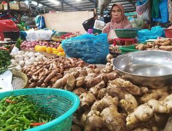 Harga Jahe dan Bawang Putih di Pasar Tanjungpinang Meroket