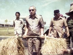 India Kini Raja Beras Dunia Berkat Ide Suharto? Ini Sejarah Lengkapnya