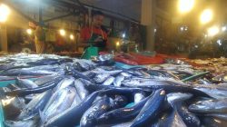Dinas Perikanan Batam: Impor Ikan Hanya Untuk Hotel dan Retail