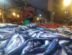 Dinas Perikanan Batam: Impor Ikan Hanya Untuk Hotel dan Retail
