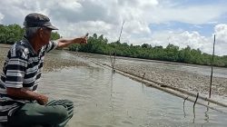 Hasil Tangkapan Nelayan Desa Pengujan Berkurang, Laut Diduga Dicemari Limbah