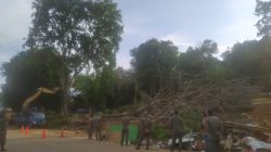 Satpol PP Batam Tertibkan 14 Bangunan Liar di Depan Pelabuhan Telaga Punggur