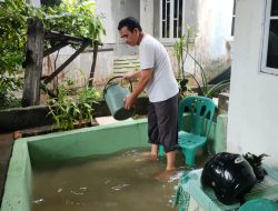 Diguyur Hujan Sejak Pagi, Puluhan Rumah Terendam Banjir di Tanjungpinang
