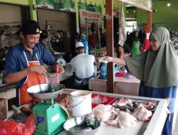 Stok Ayam Potong Mulai Berkurang di  Bintan Timur