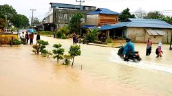 Hujan Lebat, Jalan Raya hingga Sekolah di Desa Pangke Karimun Banjir