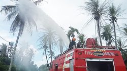 Hama Ulat Api Berkurang Drastis Usai Disemprot Insektisida di Dusun Pelambung