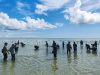 Hari Lingkungan Hidup Sedunia, PLN Tanam 1000 Bibit Mangrove di Telok Sebong Bintan