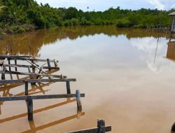 Aktivis Lingkungan Natuna Sorot Tambang Pasir di Bunguran Utara Diduga Cemari Lingkungan