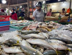 Harga Ikan di Pasar Mega Legenda Batam Stabil di Tengah Isu Impor