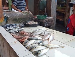 Impor Ikan Tak Pengaruhi Harga di Pasar Teluk Uma Karimun