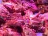 Omzet Penjualan Daging Sapi di Pasar Botania 2 Naik Jelang Iduladha 2024