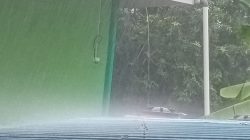 BMKG Prediksi Wilayah Kepri Berpotensi Diguyur Hujan