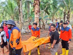 Pria 60 Tahun yang Hilang di Kebun Kampung Tanjung Kapur Bintan Ditemukan Meninggal