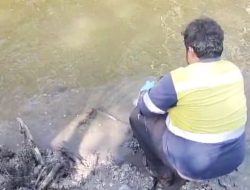 KLHK Uji Sampel Air Sungai di Desa Penghujan Bintan, Diduga Tercemar Limbah Tambak Udang