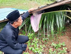 Bayi 6 Bulan di Bintan Selamat Usai Terbawa Angin Kencang Sejauh 50 Meter