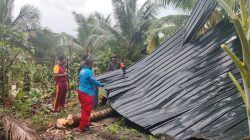 Atap Rumah Terbang