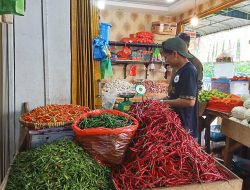 Harga Bahan Pokok di Pasar Tradisional Kota Tanjungpinang Stabil, Cabai Turun