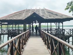 Komite Tour Mangrove di Lagoi Bintan Diduga Lakukan Pungli, Patok Tarif Tour Rp400 Ribu