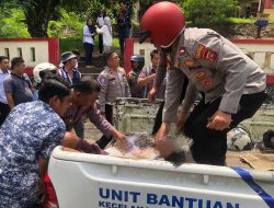 Ternyata, Paruh Baya Korban Tewas Kecelakaan di Tanjungpinang