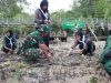 Kodim 0317/TBK Tanam Mangrove di Pantai Desa Pongkar