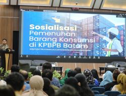 BP Batam Siapkan Pemisahan Barang Konsumsi dan Industri Mulai Tahun 2025