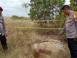 Warga Bintan Timur Ditemukan Terkapar di Hutan Sei Ladi Tanjungpinang