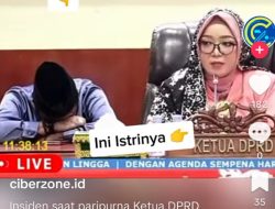 Pengamat Soroti Diduga Sekwan Lingga Tertidur saat Paripurna Dipimpin Istrinya Viral